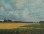 Yellow  Field, Sark Island oil on board