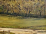 Across from the Pedlar River