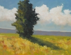 Ginger's Tree