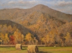 Sedalia Hay Bales