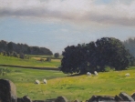 Sheep's Pasture